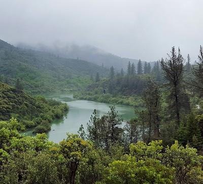 River in a forest.