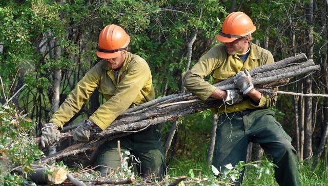 Firefighters cutting and removing brush