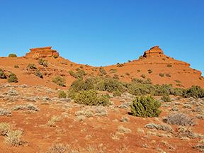 Red soil and red rock formations at Burnt Timber Wilderness Study Area