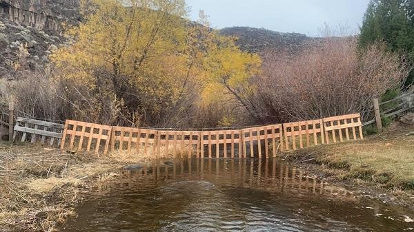 An exclosure fence strung across the creek with golden trees in the background