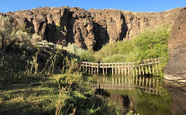 exclosure fence with panels missing strung across the stream with green vegetation and brown rocks in the background. 