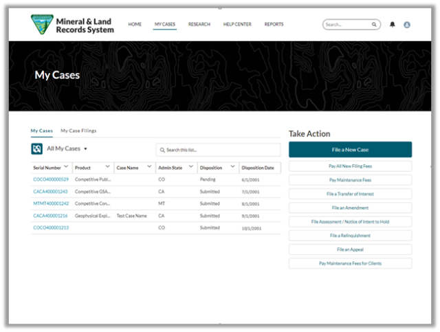 MLRS case information screen.