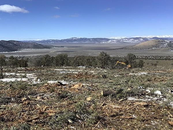 Treating the ground with mountains in the background. 