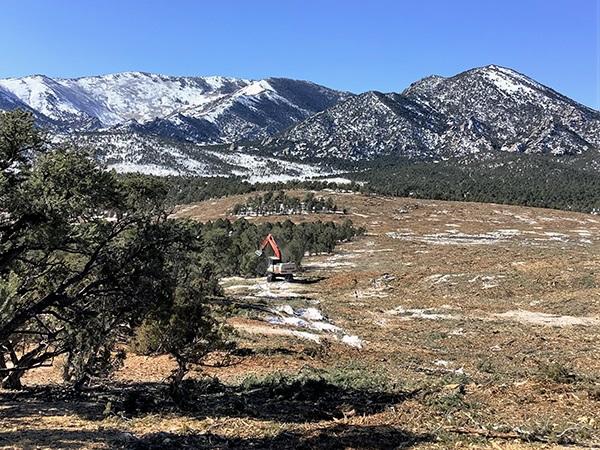 Treating the ground with mountains in the background. 