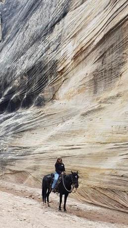 Horse and rider in slot canyon. 