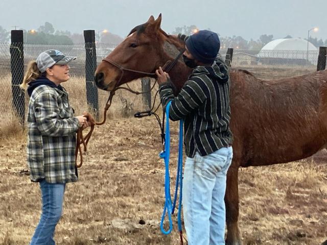 Horse and adopter in arena. 