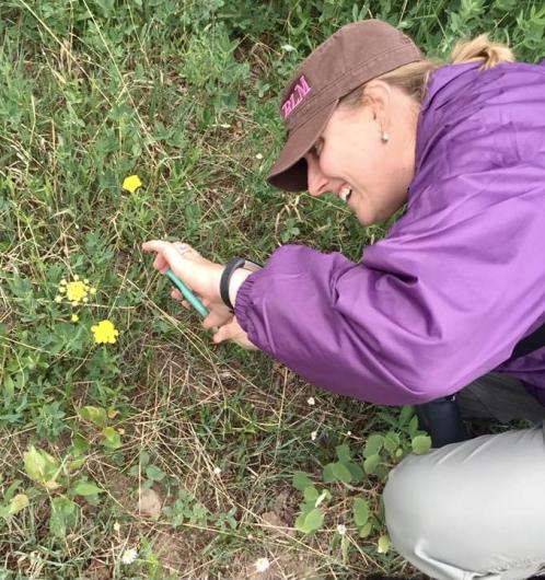 Woman takes photo of flowers.