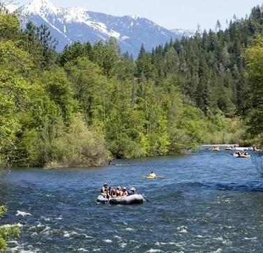 A raft in a forest river