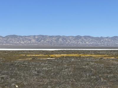 A field with mountains in the background.