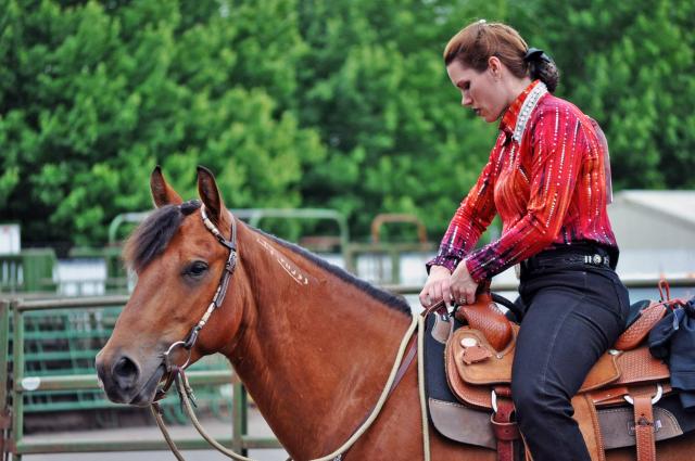 Woman rider on a horse