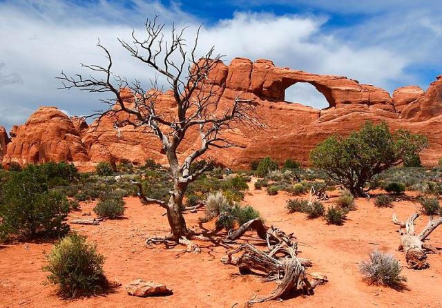 Arches National Park