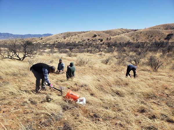 Four people out in a field, one with a pickaxe digging in the ground.