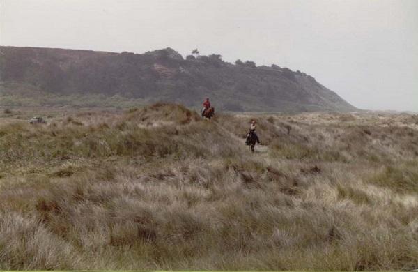 Dune covered in invasive grass