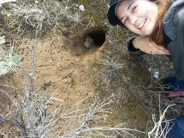 Lindsey Rush smiles as she leans close to a Pygmy rabbit hole