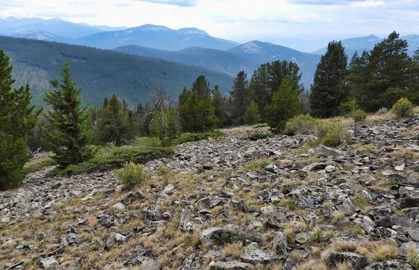 View from the top of the pikas' habitat- a rocky surface with mountains in the background.