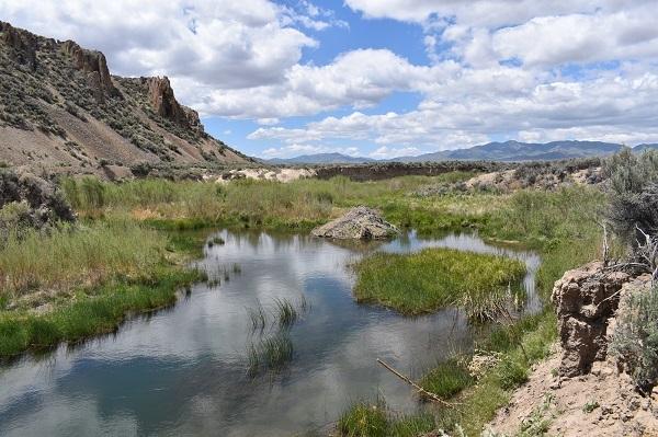 Dixie Creek surrounded by green vegetation and a brown ridge. 