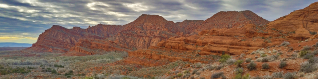 Red Cliffs with desert vegetation in the National Conservation Area.