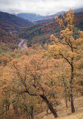 A dry forested valley.