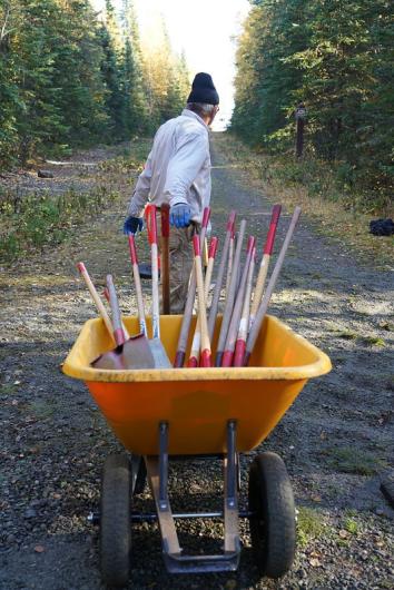 Outdoor setting on a trail. A man pulls a wheelbarrow full of shovels down a trail.