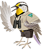 Agents of Discovery Agent for Medford District Office Area waving. Bird wearing BLM uniform and binocular hanging around its neck.