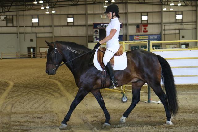 Lady riding horse. 