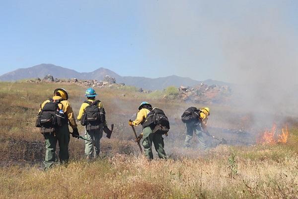Fire crews from the California Desert Interagency Fire Program treating public lands with prescribed fire in the Lake Mathews-Estelle Mountain Stephens’ Kangaroo Rat Reserve in western Riverside County. (Photo by James Gannon)