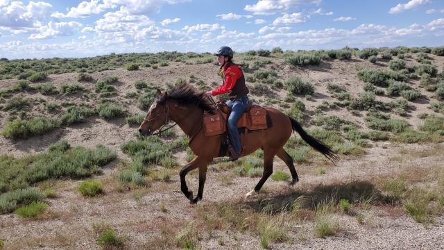 A lady riding a horse on the range. 