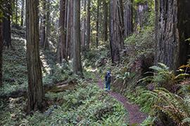 Headwaters South Side Trail hiker.