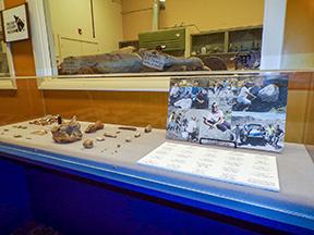 Display showing some of the fossils Parisi helped collect over the years and photos of him in the field. 