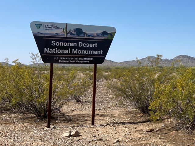 a sign with the bureau of land managment emblem. Text reads National Conservation Lands, Sonoran Desert National Monument
