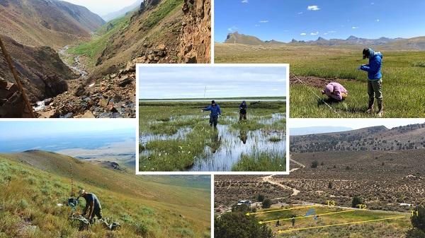 Five photo collage: To left: stream, Top right: Two people working in the field, Center: two people working in a stream,  bottom left: a person working in the field, bottom right: picture of the field