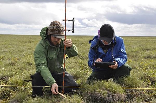 AIM field crew (2 people sitting) recording vegetation height using a tablet computer.