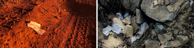 Two images of human waste and toilet paper dumped on the ground in outdoor spaces. 