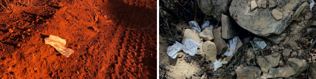 Two images of human waste and toilet paper thrown on the ground in outdoor spaces.