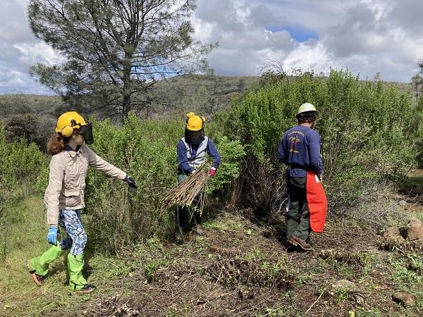Fuels Reduction Project at Pine Hill Preserve. Margaux Blanc (left); Lilly Johnson, Pine Hill intern (center); and Landon Eldridge, Bio Science Tech (right). The workers are in hard hats and carrying piles.