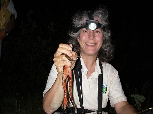 With a smile, Now retired BLM Biologist Peggy Cranston holding a California Red-Legged Frog with her headlamp on.