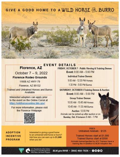 Florence, AZ Wild Horse and Burro Placement Event Flyer Oct. 7-8 at the Florence Rodeo Grounds