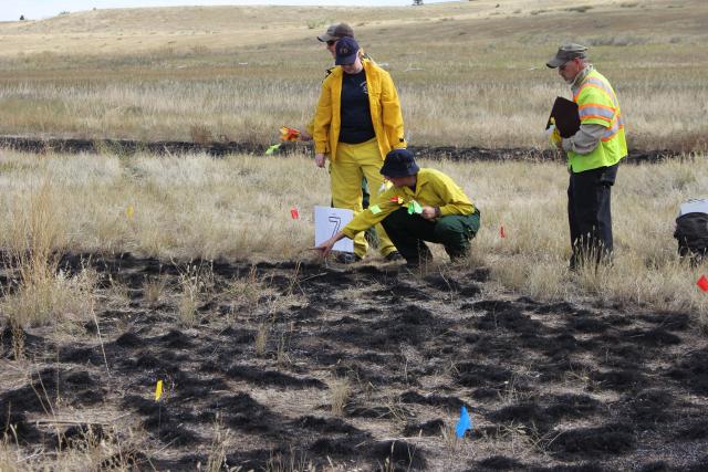 Three people standing over burned grass.