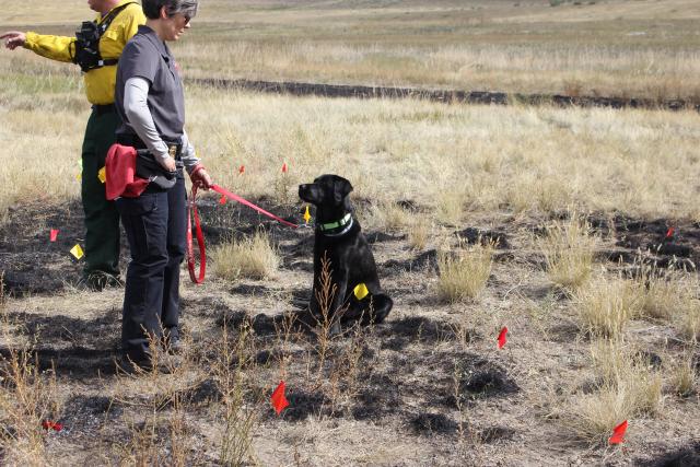 Woman stands with black dog in a burned area.