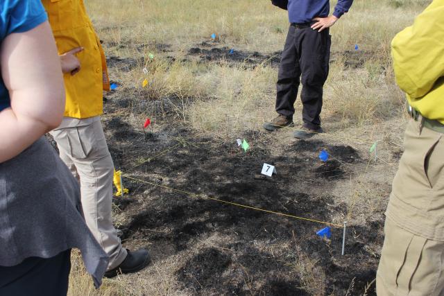 People standing in burned area with a marked plot to indicate fire origin.