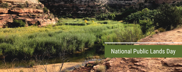 Natural landscape with a creek and bushes for National Public Lands Day. 