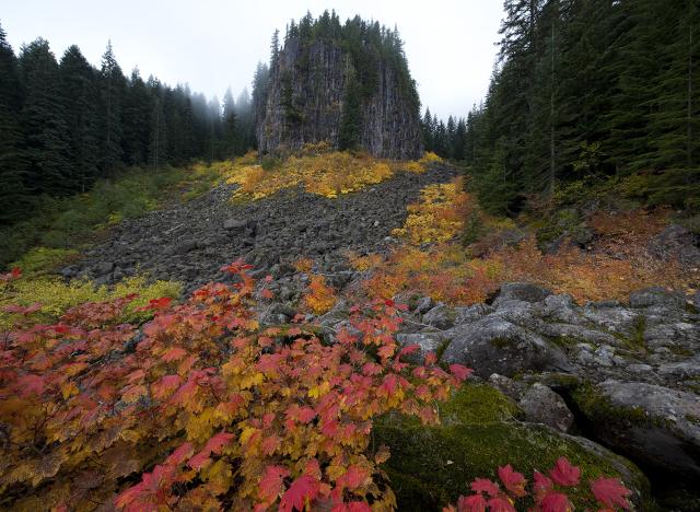 Part of the Table Rock Wilderness in Oregon, featuring a remnant of a lava flow surrounded by trees.