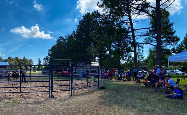 Nick Mantle of the Mantle Adoption and Training Facility provides a wild horse training demonstration for the gathered crowd.