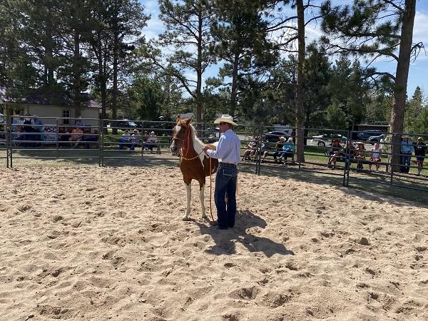 A man standing with a horse as people look on. 