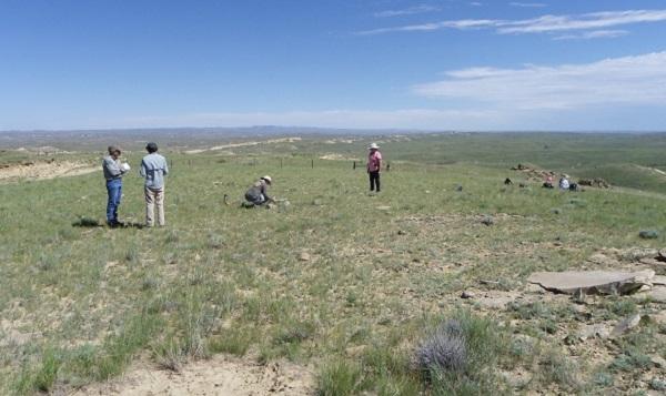 Volunteers stand around a prehistoric open campsite that is in a field. 