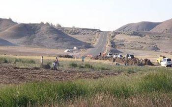 Restoration work being done on a hillside.