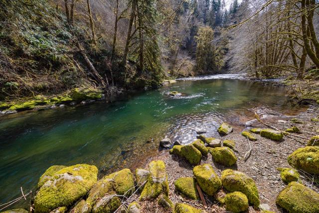 Nestucca River containing outdoor, rock, plant