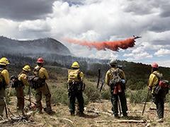 Wildland firefighters watch an airtanker drop retardant on the Horse Park Fire in Colorado in 2018.
