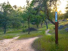 A trail marker and trail.