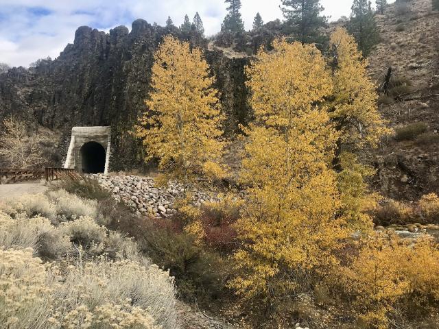 Fall trees and a tunnel. 